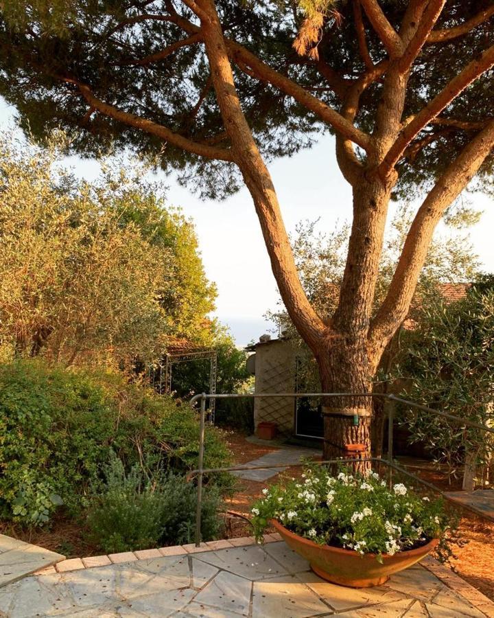Bed and Breakfast Il Gelso San Bartolomeo  Exterior foto