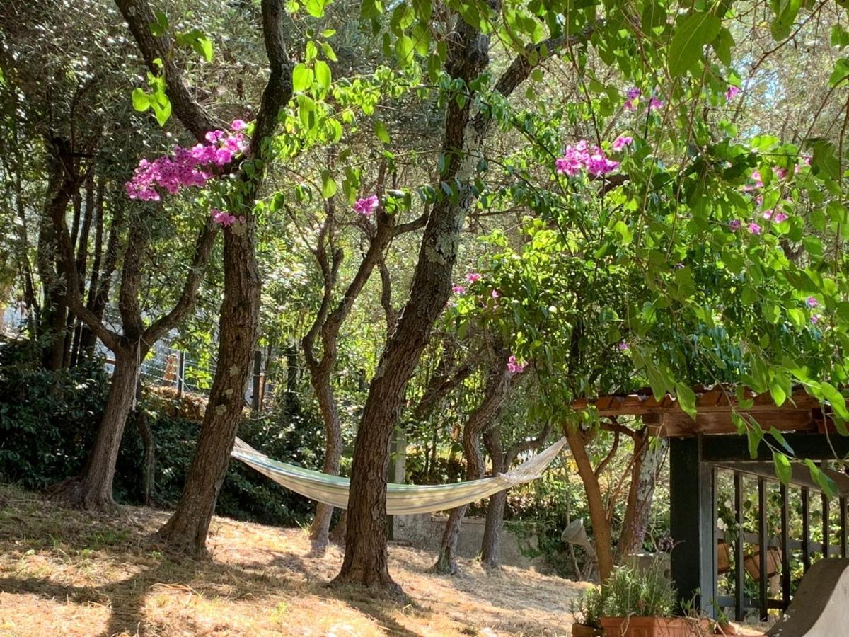 Bed and Breakfast Il Gelso San Bartolomeo  Exterior foto