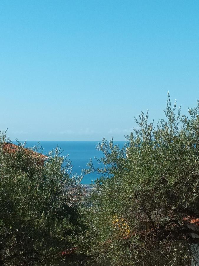 Bed and Breakfast Il Gelso San Bartolomeo  Exterior foto