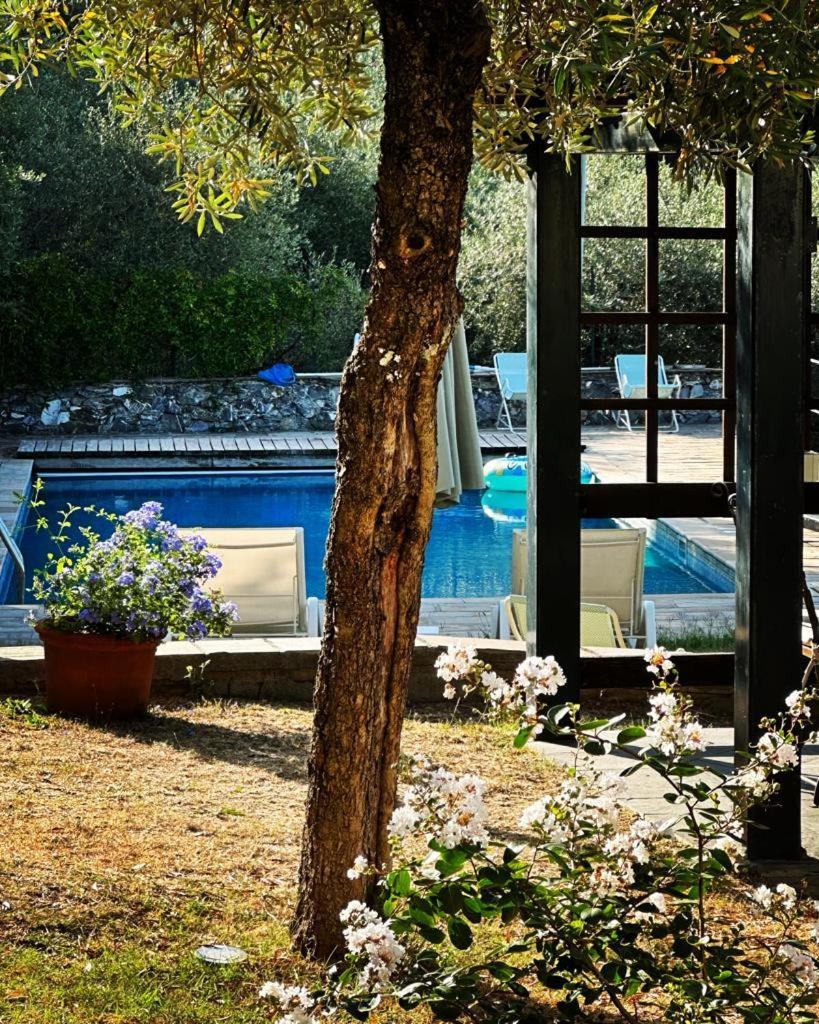 Bed and Breakfast Il Gelso San Bartolomeo  Exterior foto