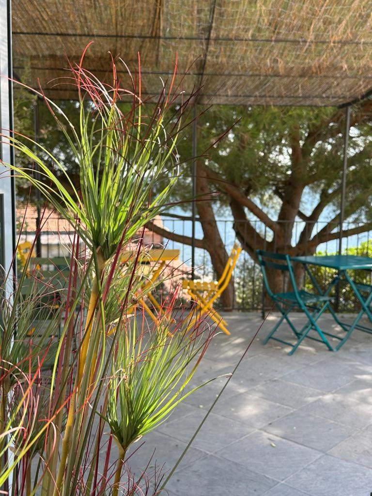Bed and Breakfast Il Gelso San Bartolomeo  Exterior foto