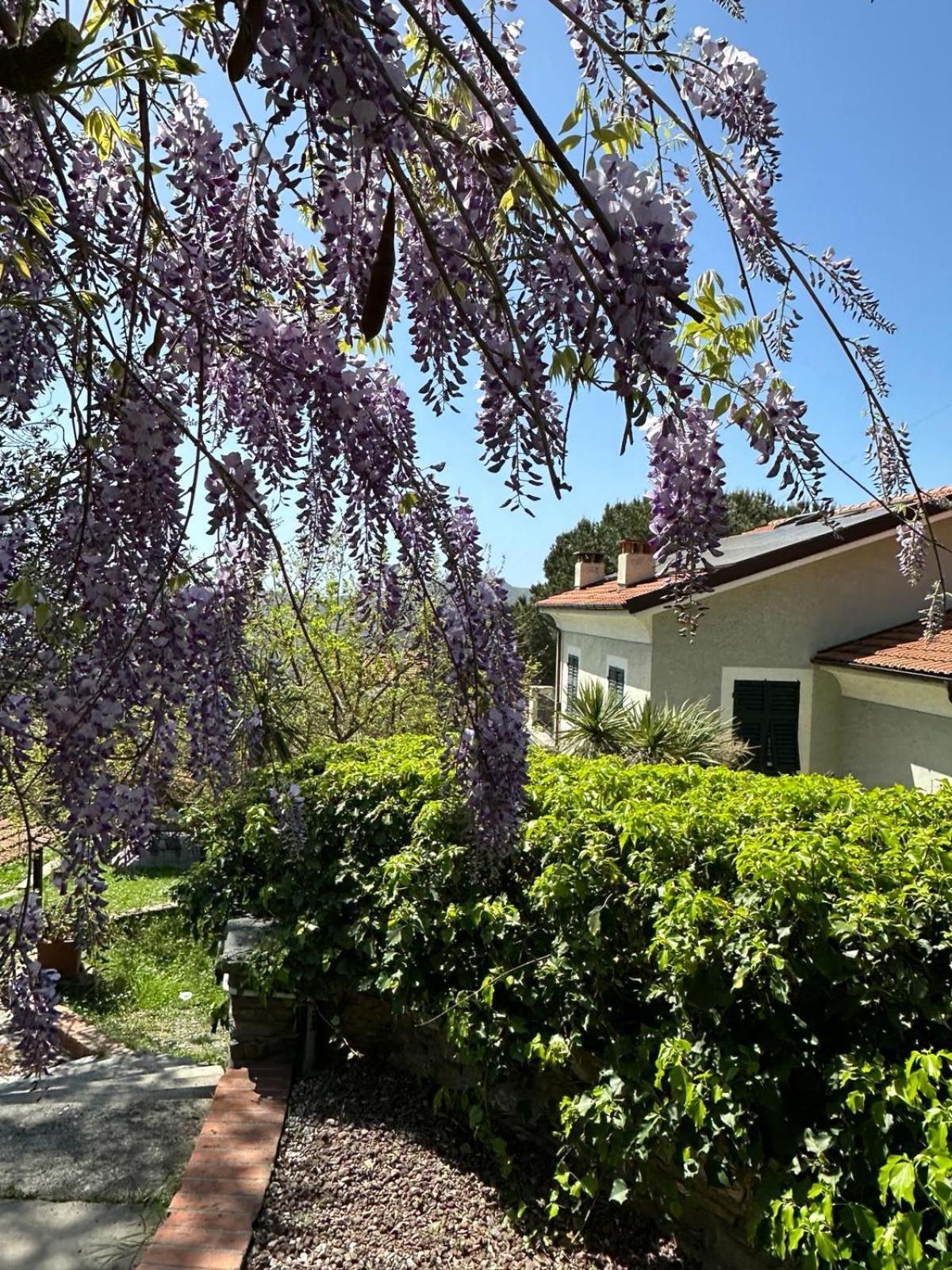 Bed and Breakfast Il Gelso San Bartolomeo  Exterior foto